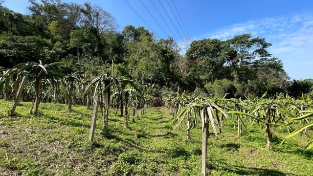 新竹峨眉農地-7