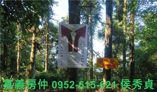 新竹北埔農地-0