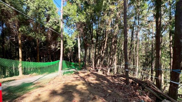 新竹竹東農地-3