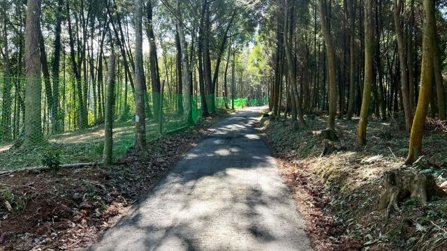 新竹竹東農地-7