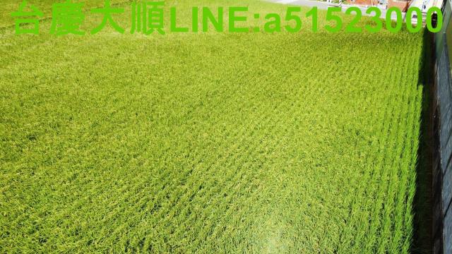 新豐農地-1