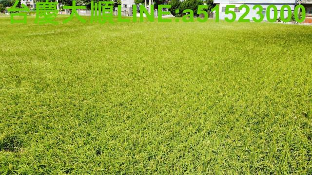 新豐農地-3