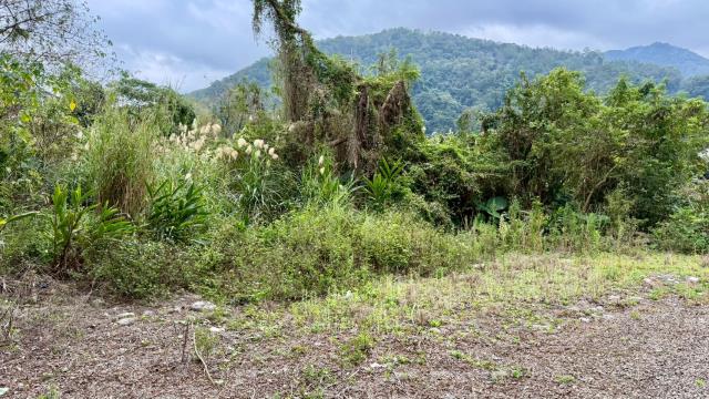 新竹橫山農地-9