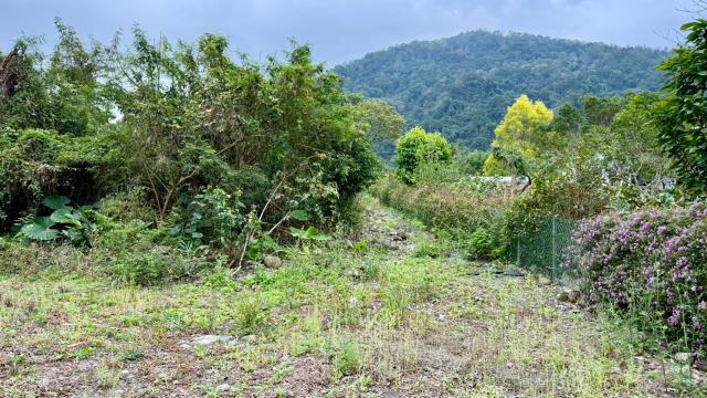 新竹橫山農地-4