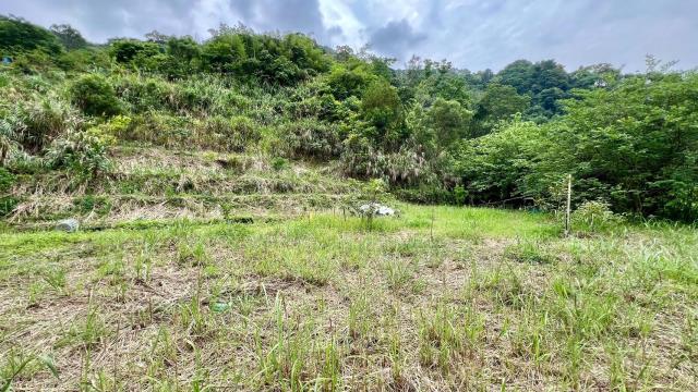 新竹橫山農地-4