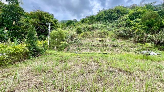 新竹橫山農地-5