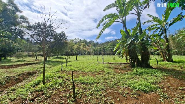 新竹農地-10