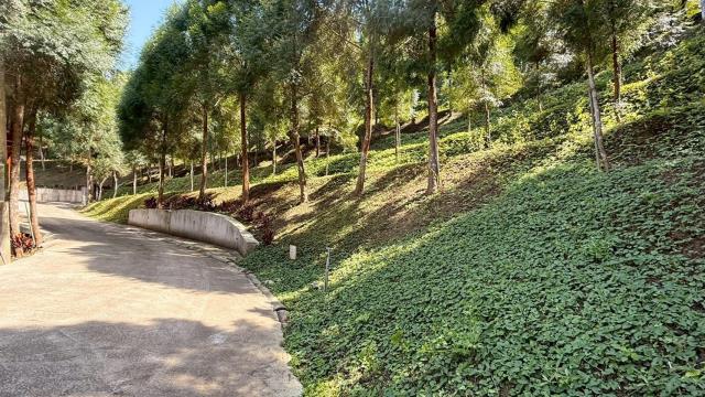 新竹橫山農地-3