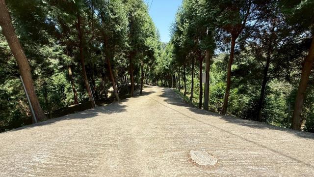 新竹橫山農地-14