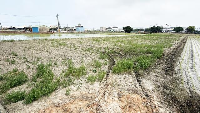 新竹竹北農地-12