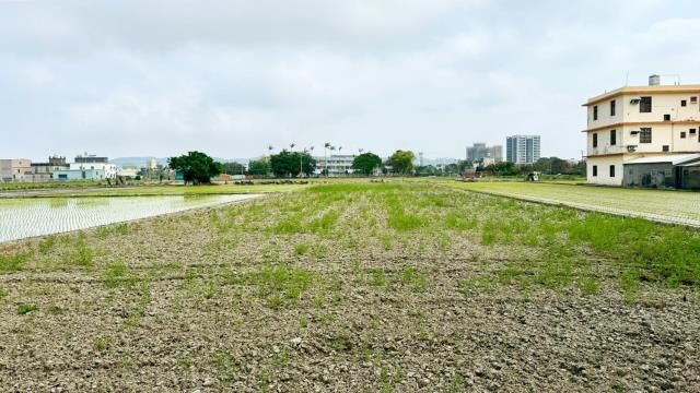 新竹竹北農地-0