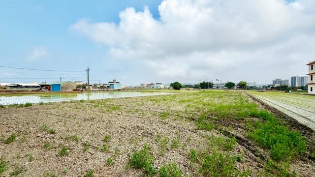 新竹竹北農地-8