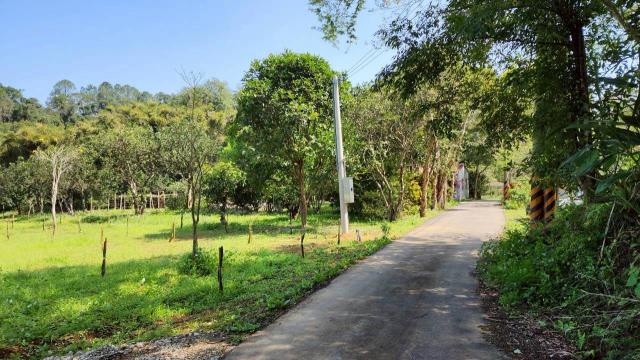 新竹橫山農地-13