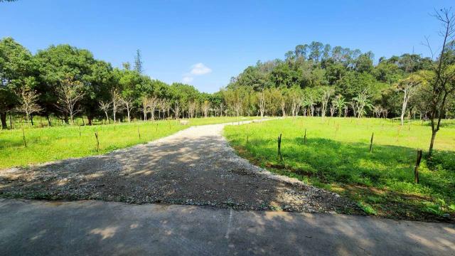 新竹橫山農地-0