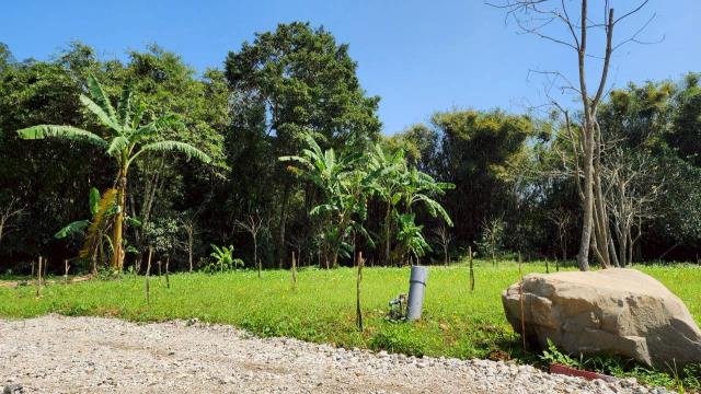 新竹橫山農地-4