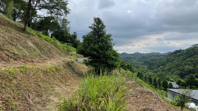 新竹北埔農地-12