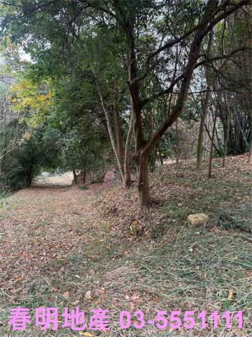 新竹芎林農地-7