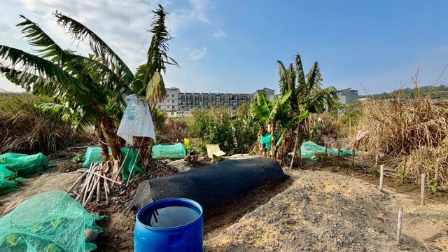 新竹芎林農地-2