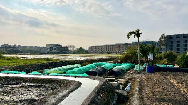 新竹芎林農地-7