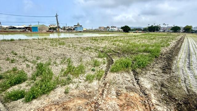 新竹竹北農地-8