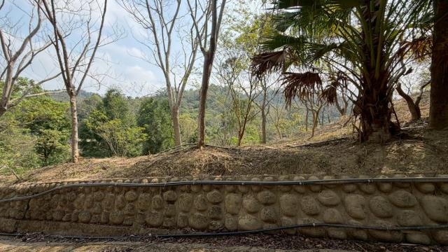 新竹北埔農地-11