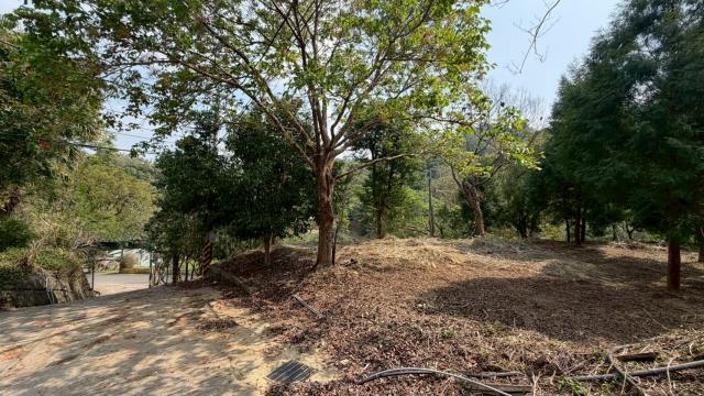 新竹北埔農地-0