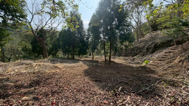 新竹北埔農地-3