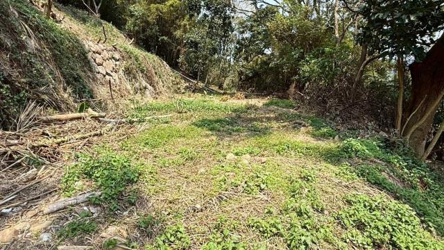 新竹關西農地-10