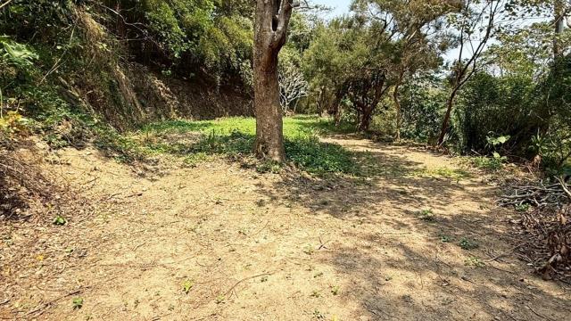 新竹關西農地-2