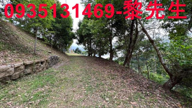 新竹北埔農地-14