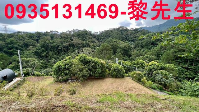 新竹北埔農地-6