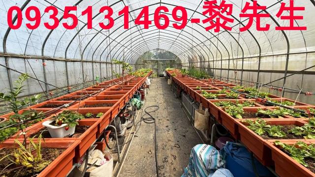 新竹關西農地-8