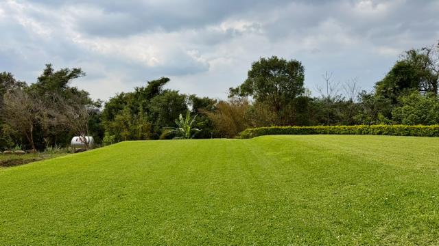 新竹關西農地-8