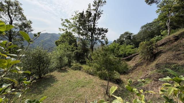 新竹北埔農地-12