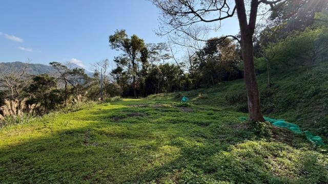 新竹北埔農地-5