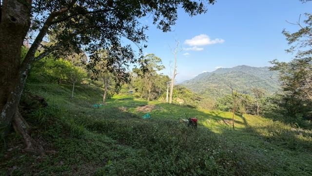 新竹北埔農地-6