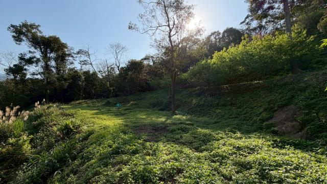 新竹北埔農地-8