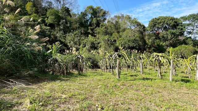 新竹峨眉農地-11