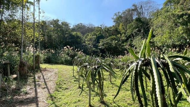 新竹峨眉農地-12