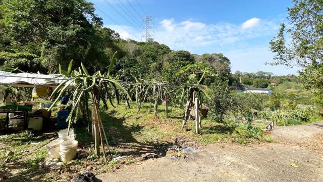 新竹峨眉農地-3