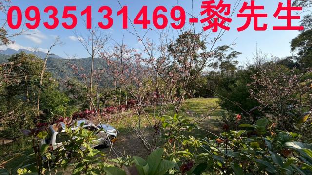 新竹北埔農地-9