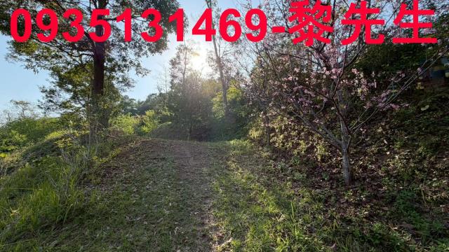 新竹北埔農地-1