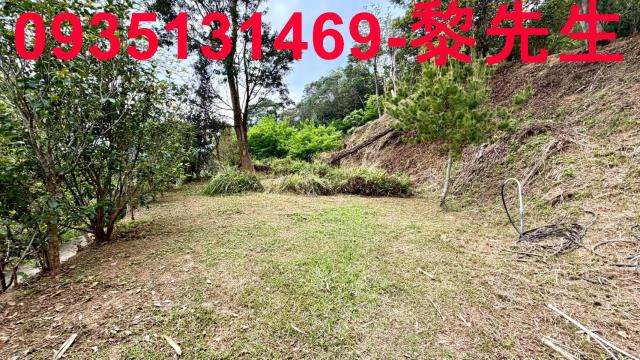 新竹北埔農地-10