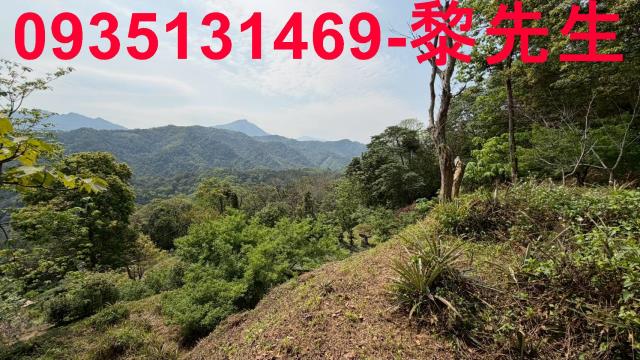 新竹北埔農地-2