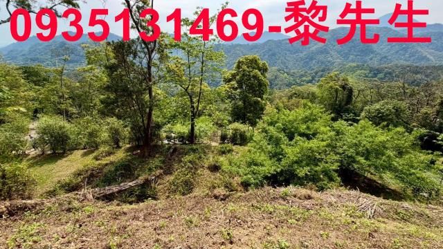 新竹北埔農地-5