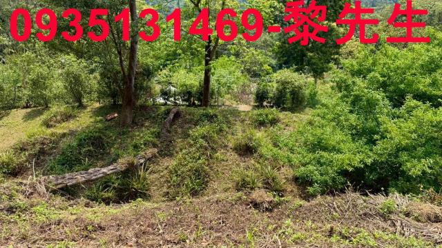 新竹北埔農地-6