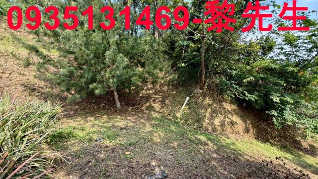 新竹北埔農地-7