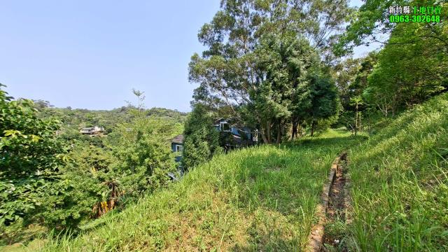 新竹峨眉農地-9