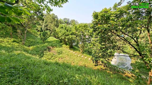 新竹峨眉農地-11