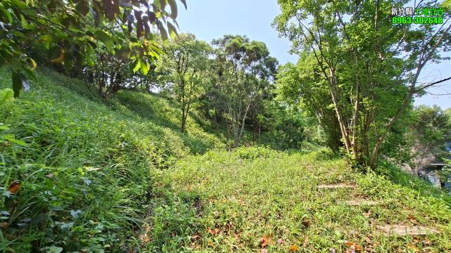 新竹峨眉農地-6